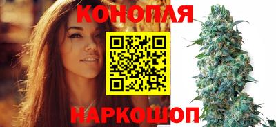 наркотики Заводоуковск
