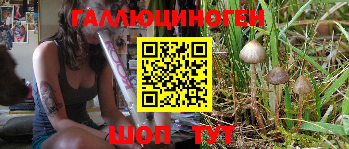 Псилоцибиновые грибы прущие грибы  Урай 