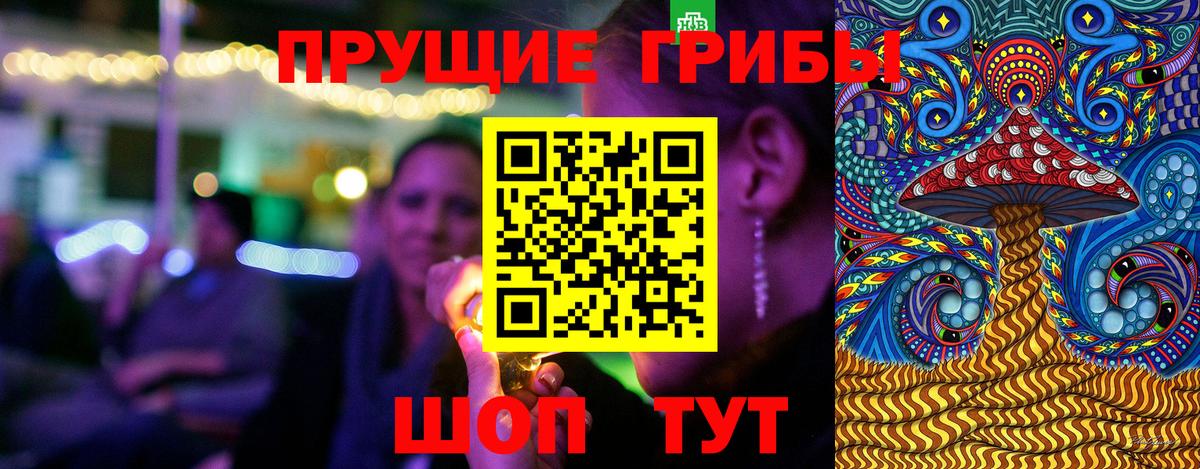 дарнет шоп  Псилоцибиновые грибы мухоморы  Вход с VPN  Урай  Псилоцибиновые грибы GOLDEN TEACHER 